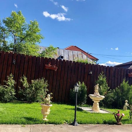 Casa Alexia Haţeg Exterior foto