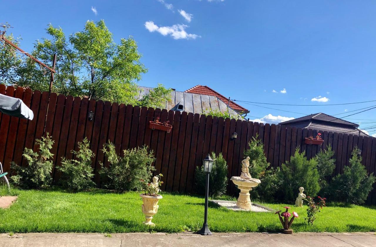 Casa Alexia Haţeg Exterior foto